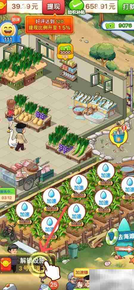 3号地用荒漠土种啥好?