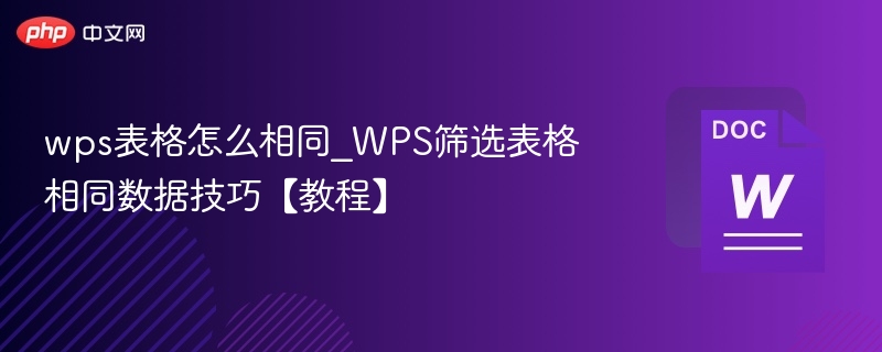 WPS表格快速筛选相同数据方法