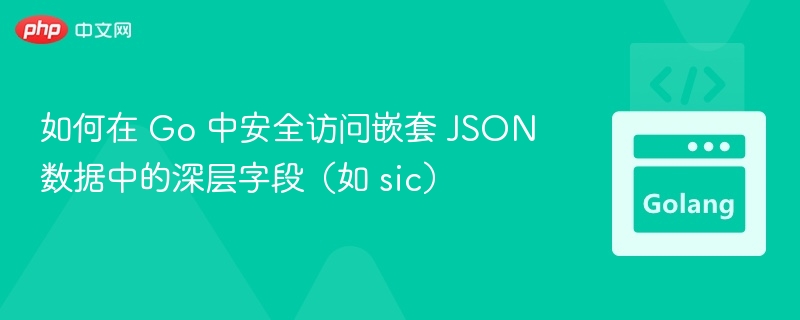如何在 Go 中安全访问嵌套 JSON 数据中的深层字段(如 sic)