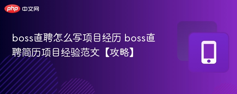 BOSS直聘项目经历怎么写？简历项目经验范文分享