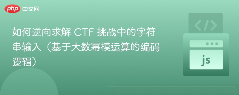 如何逆向求解 CTF 挑战中的字符串输入(基于大数幂模运算的编码逻辑)