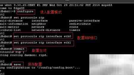EdgeRouter RIP配置实例