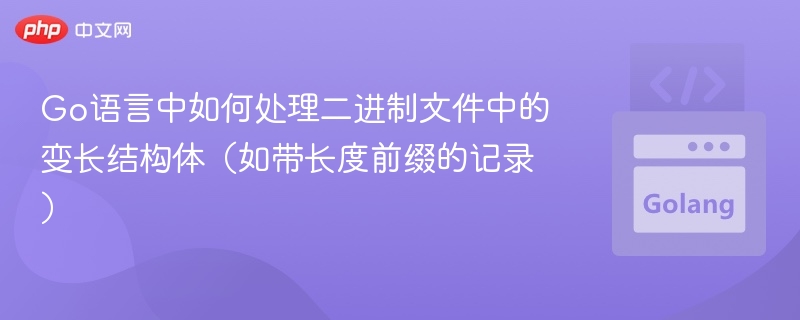 Go语言动态解析变长结构体方法