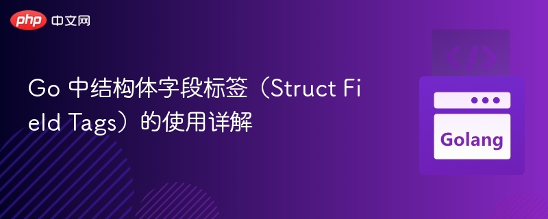 Go 中结构体字段标签（Struct Field Tags）的使用详解
