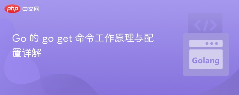 Go 的 go get 命令工作原理与配置详解