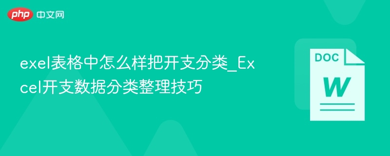 Excel开支分类与整理技巧