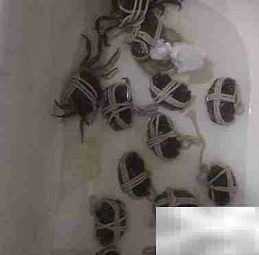 新鲜螃蟹运输方法