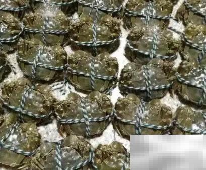 新鲜螃蟹安全运输方法揭秘