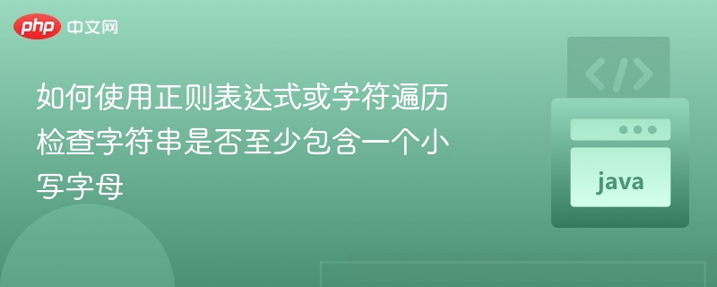 检查字符串是否含小写字母的两种方法