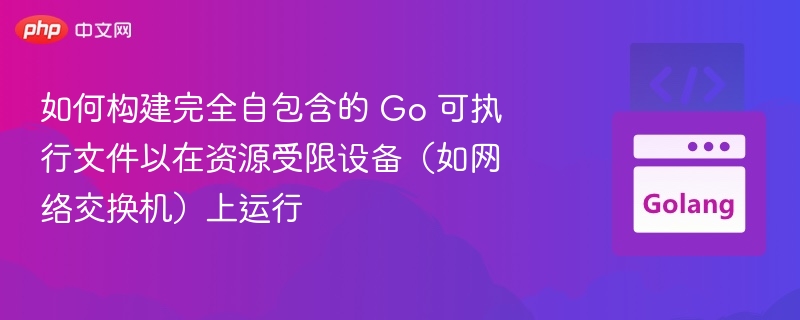 如何构建完全自包含的 Go 可执行文件以在资源受限设备(如网络交换机)上运行