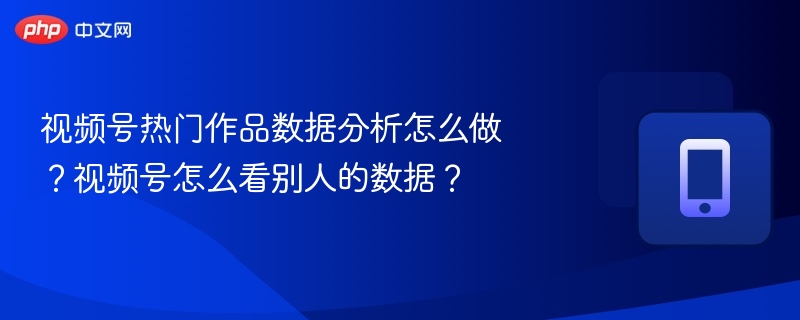 视频号热门作品数据分析怎么做?视频号怎么看别人的数据?
