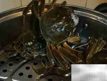 清蒸河蟹，秋日美味正当时