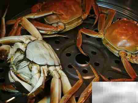 清蒸河蟹，秋日美味正当时