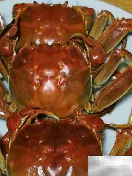 清蒸河蟹，秋日美味正当时