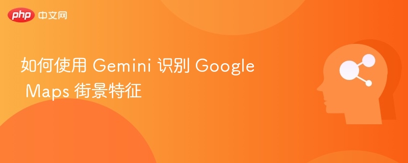 Gemini识别街景技巧分享