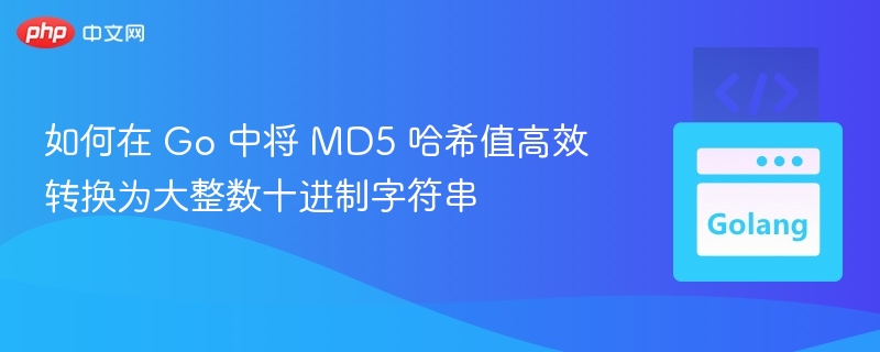 如何在 Go 中将 MD5 哈希值高效转换为大整数十进制字符串