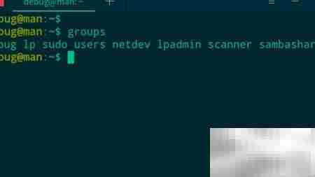 deepin 20查看用户所属组方法