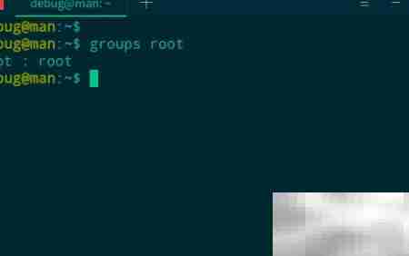 deepin 20查看用户所属组方法