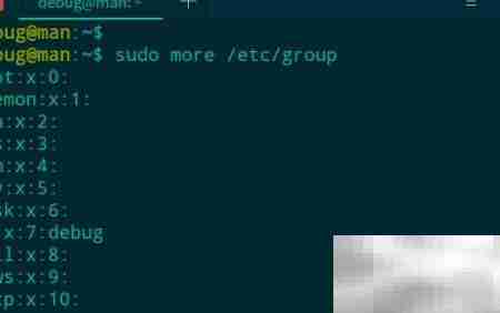 deepin 20查看用户所属组方法