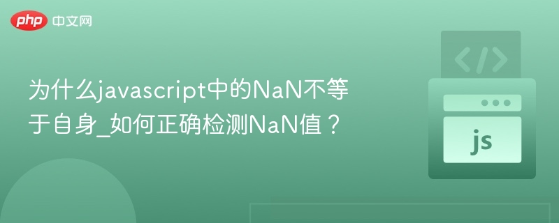 JavaScript中NaN为何不等于自身？如何正确判断NaN
