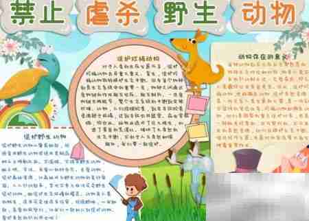 人与自然和谐共处手抄报