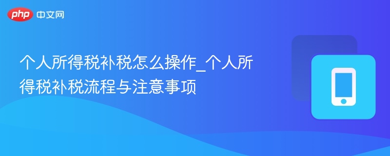 个税补税操作流程及注意事项