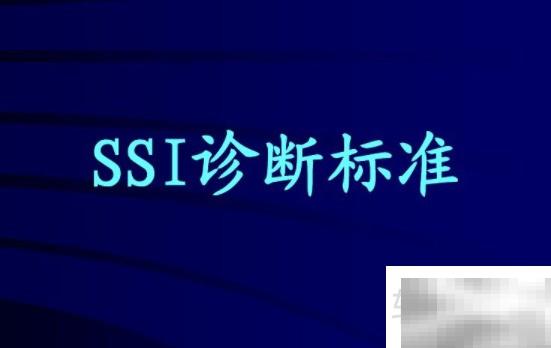 SSI是什么？详解其核心含义