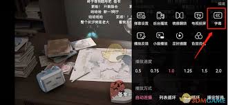 B站视频自动字幕生成技巧分享