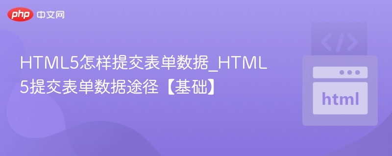 HTML5怎样提交表单数据_HTML5提交表单数据途径【基础】