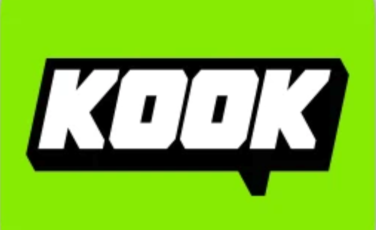 kook的notion插件如何安装_kook软件插件安装方法详述