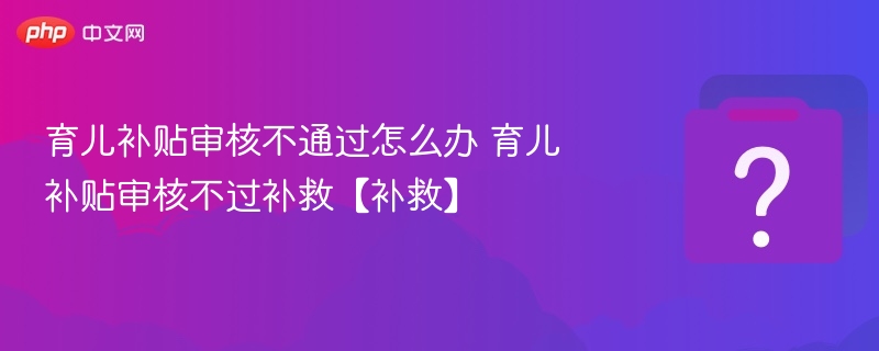 审核未过别慌，育儿补贴补救方法全解析