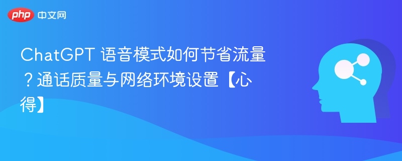 ChatGPT语音模式省流设置技巧