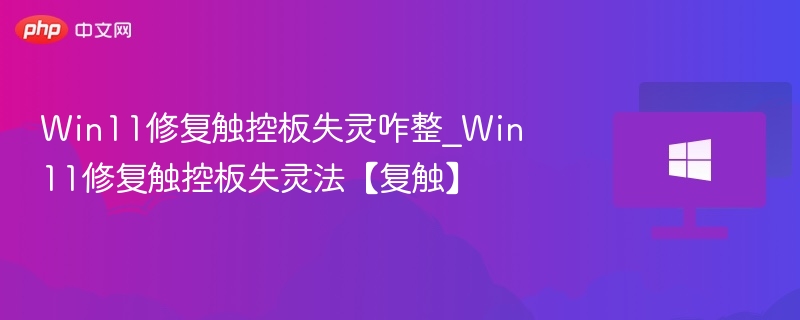 Win11触控板失灵怎么解决？