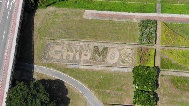 南茂科技12月营收增长23.8%