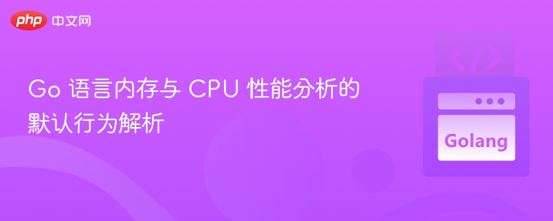 Go 语言内存与 CPU 性能分析的默认行为解析
