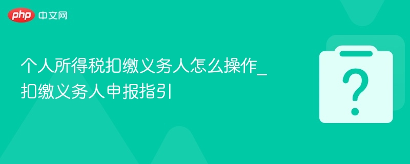 个人所得税扣缴义务人怎么操作_扣缴义务人申报指引