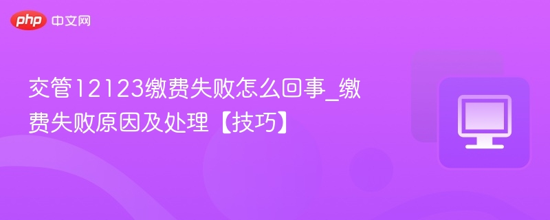 交管12123缴费失败原因及处理办法