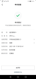 发小红书被起诉会面临什么后果