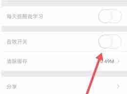口语100如何关闭音效
