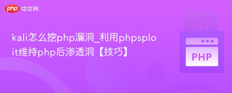 kali怎么挖php漏洞_利用phpsploit维持php后渗透洞【技巧】