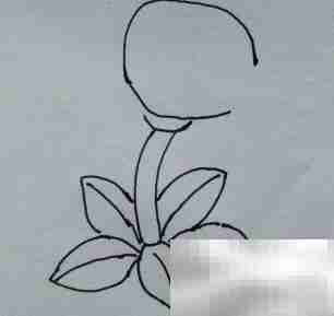 卡通音箱：萌趣音响设计