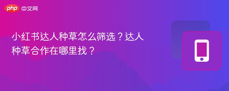 小红书达人怎么选？合作渠道在哪？