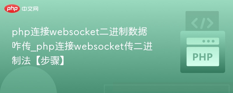 php连接websocket二进制数据咋传_php连接websocket传二进制法【步骤】