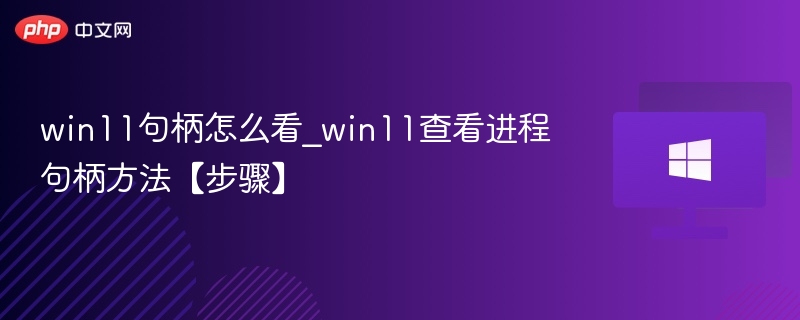 Win11查看进程句柄的详细步骤