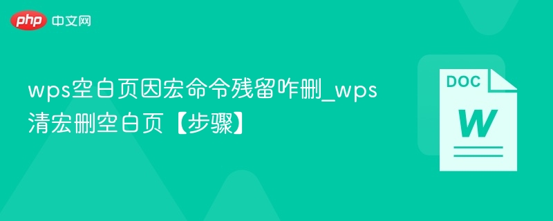 wps空白页因宏命令残留咋删_wps清宏删空白页【步骤】