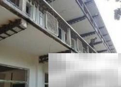 老房修缮技巧全攻略