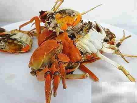 吮指河蟹做法大揭秘