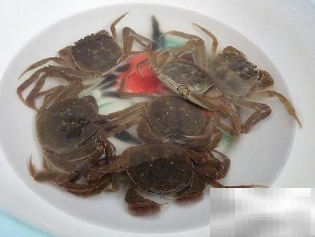 吮指河蟹做法教程与技巧分享