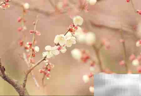 Win10移除任务栏时钟