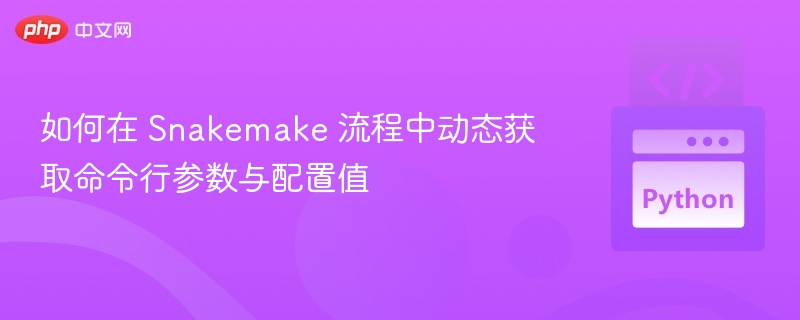 Snakemake动态参数与配置获取技巧
